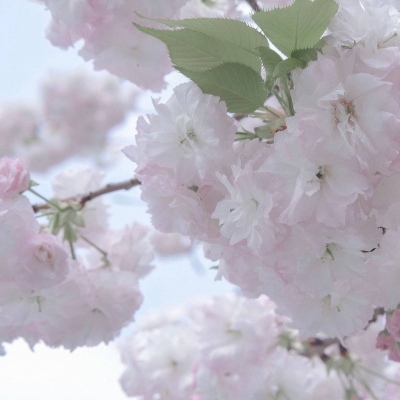 Furry插画细节提升干货兽圈群